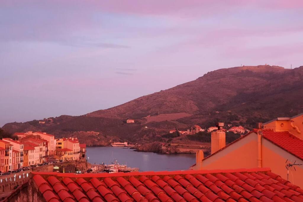 Le Belveze, Emplacement Central Et Calme Port Vendres Exteriér fotografie