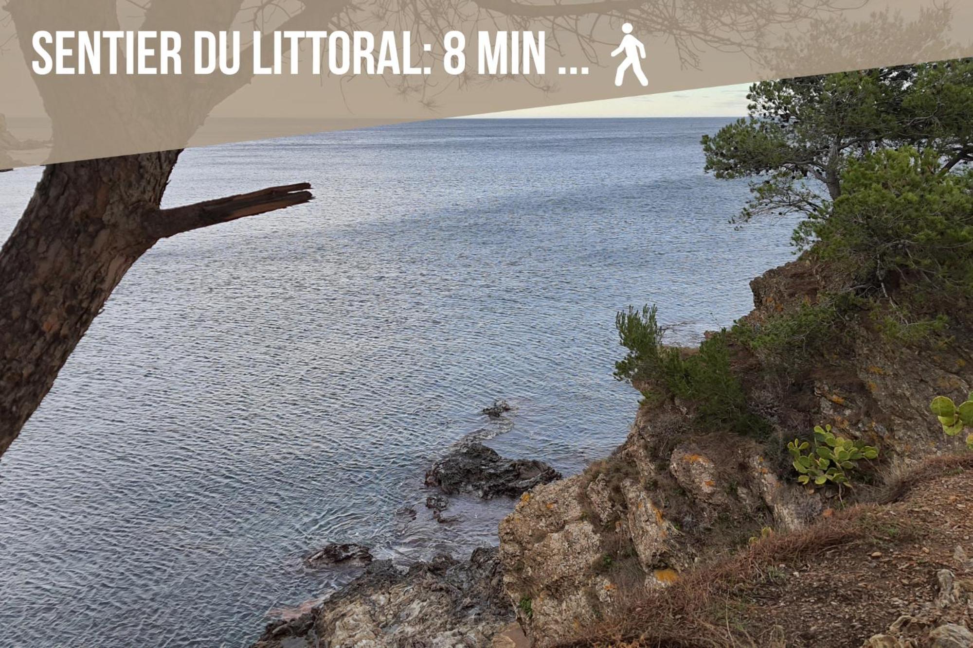 Le Belveze, Emplacement Central Et Calme Port Vendres Exteriér fotografie